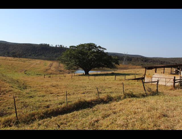 1,058HA FARM FOR SALE IN KOMGA